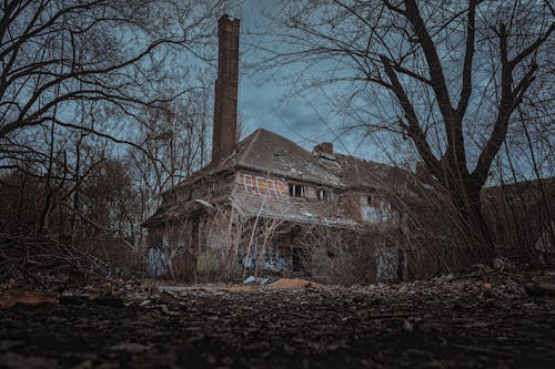 Fiction coastal horror-inspired haunted house with burnt trees